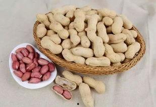 赣州安远花生今日头条,今日头条聚焦的地道美食之旅