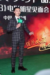 深圳明星见面会2015,星光熠熠的璀璨之夜