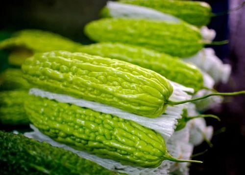 阳瓜可以怎么吃,探索阳瓜的多种烹饪方式