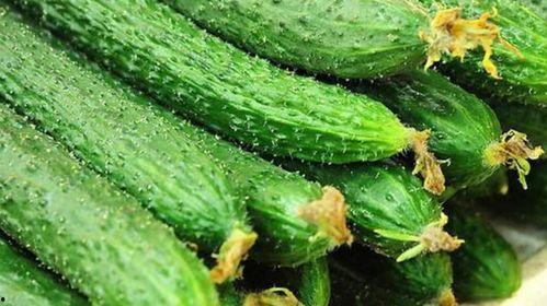 花200吃瓜博主,200元带你领略吃瓜博主的美食之旅