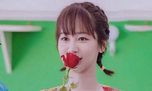 明星颜色的名字,揭秘明星色彩的独特魅力