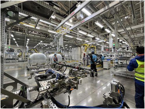 重庆网红机器厂家,引领潮流的创新力量