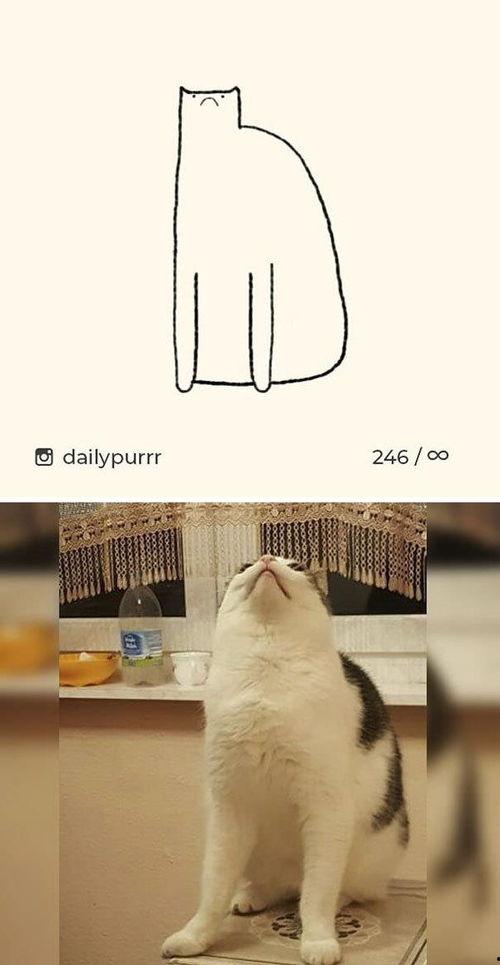 呆木头怎么变成网红的,揭秘如何变身网络红人