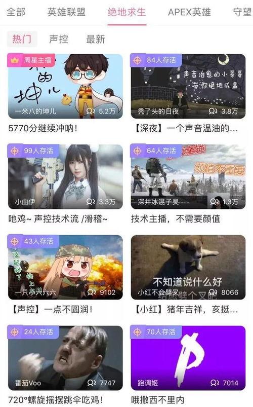 头条直播平台怎么关注,轻松关注心仪主播，开启互动新篇章