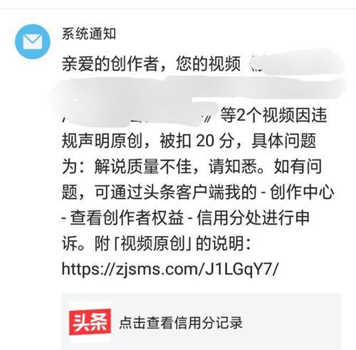 头条西瓜信用分怎么查,如何查询与提升你的信用等级？”