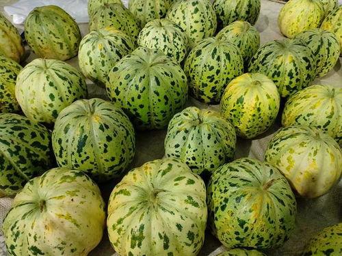 面瓜 怎么吃,探索面瓜的多样美味