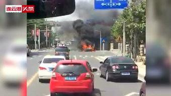 连云港头条打猎,探寻神秘狩猎文化，体验传统打猎技艺