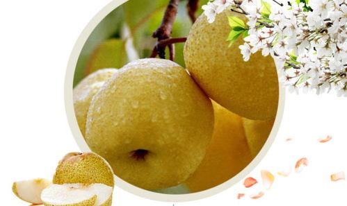 每天吃酥瓜好么,健康生活新选择