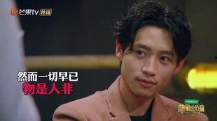 明星大爆料魏晨视频播放,明星大爆料背后的惊人真相