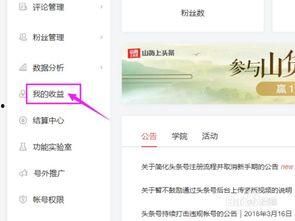 头条小店的广告怎么设置,头条小店广告副标题设置攻略