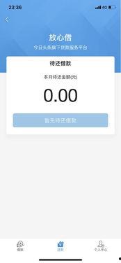 头条借款没成功,揭秘背后原因及应对策略”