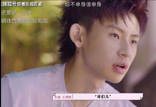 明星恋爱综艺游戏,恋爱综艺游戏大揭秘