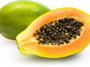 瓜 籽可以吃吗,美味与营养的双重享受