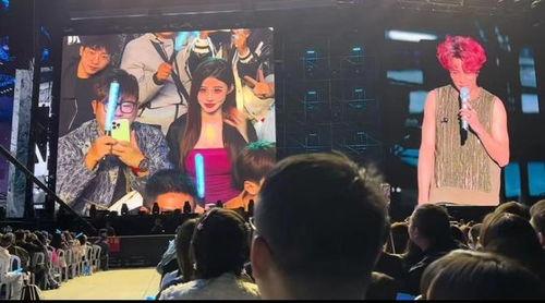 演唱会吃瓜现场,吃瓜群众的真实观感揭秘